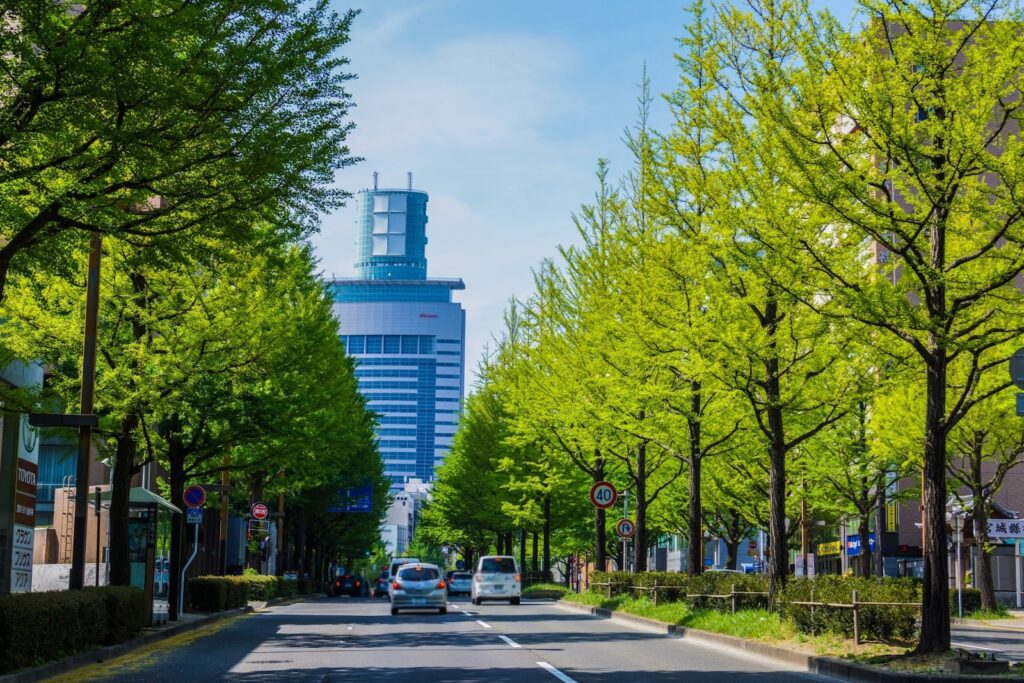 地元企業の強力な助っ人！宮城でSNS運用代行を頼む会社が増えている理由